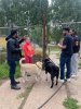 Visit to the "Give Kindness" Animal Shelter фото 2