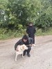 Visit to the "Give Kindness" Animal Shelter фото 4